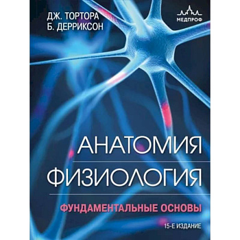 Анатомия. Физиология. Фундаментальные основы Анатомия. Физиология. Фундаментальные основы