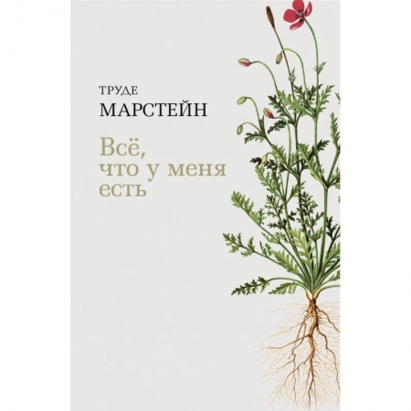 Классика, современная литература, книга Все, что у меня есть