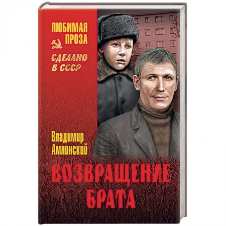 Книги, книга Возвращение брата