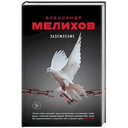 Классика, современная литература, книга Заземление