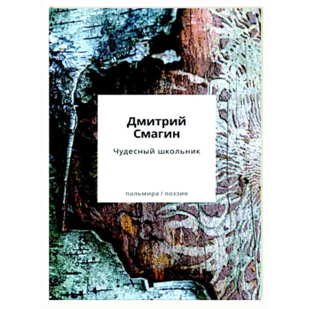 Классика, современная литература, книга Чудесный школьник: сборник стихотворений