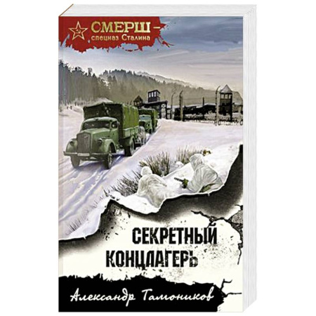 Детективы, триллеры, книга Секретный концлагерь