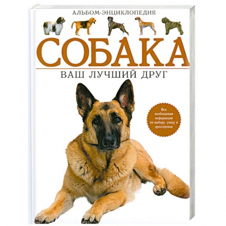 Книги, книга Собака. Ваш лучший друг. Альбом-энциклопедия