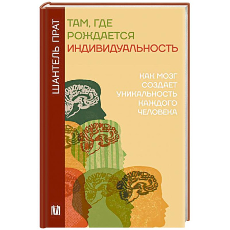 Общественные и гуманитарные науки, книга Там, где рождается индивидуальность. Как мозг создает уникальность каждого человека