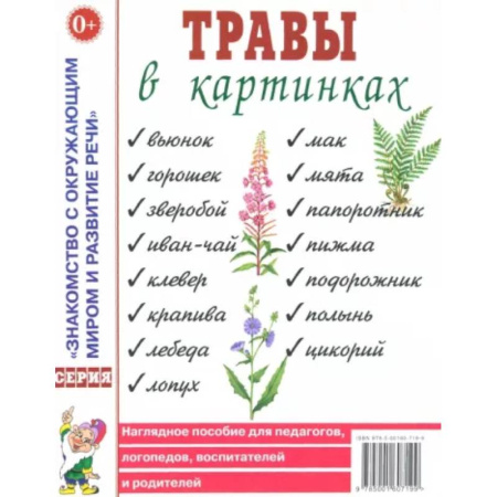 Познавательная литература, книга Травы в картинках