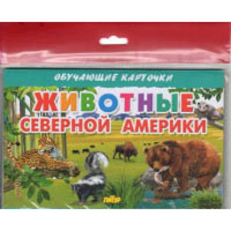 Познавательная литература, книга Животные Северной Америки