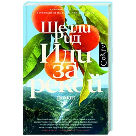 Классика, современная литература, книга Иди за рекой