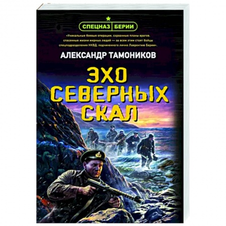 Детективы, триллеры, книга Эхо северных скал