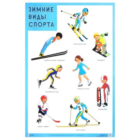 Книги, книга Зимние виды спорта