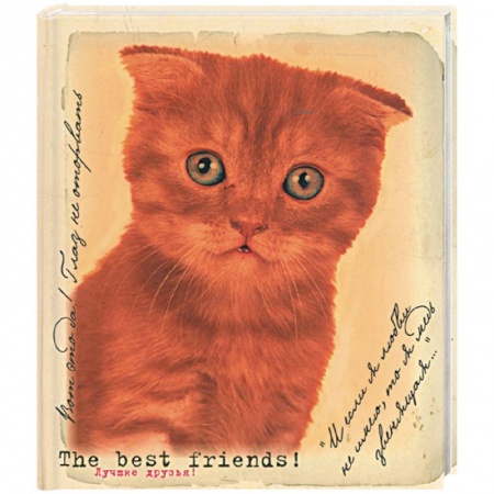 Книги, книга Лучшие друзья. Фотоальбом