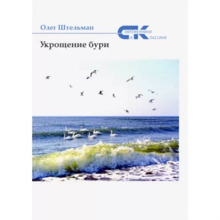 Классика, современная литература, книга Укрощение бури