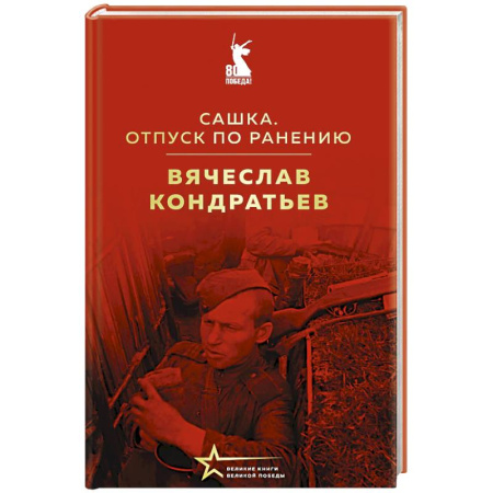 Публицистика, книга Сашка. Отпуск по ранению