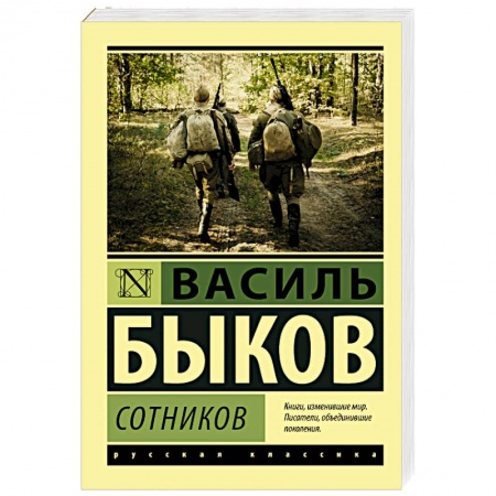 Классика, современная литература, книга Сотников
