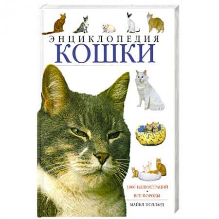 Книги, книга Кошки. Энциклопедия