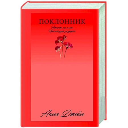 Любовный роман, книга Поклонник