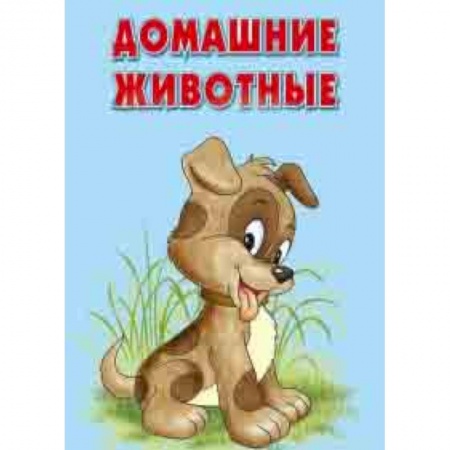 Досуг, творчество и кулинария, книга Карточки. Домашние животные. Интересные факты