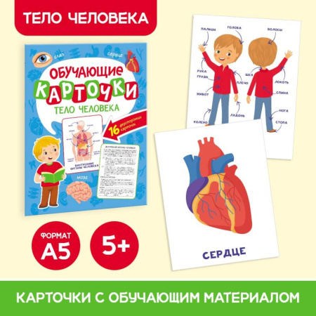 Книги для дошкольников (4-6 лет), книга Тело человека, 16 двусторонних карточек