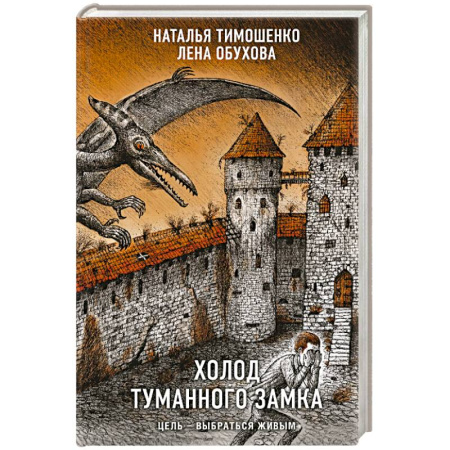 Фантастика, фэнтези, книга Холод туманного замка