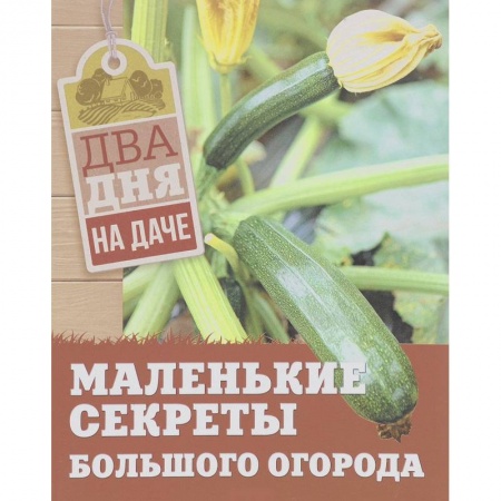 Сад, огород, цветы, дизайн участка, книга Маленькие секреты большого огорода