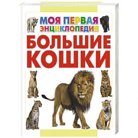 Книги, книга Большие кошки