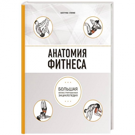 Медико-биологические дисциплины, книга Анатомия фитнеса