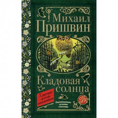 Книги, книга Кладовая солнца