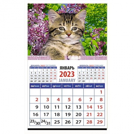 Календарь Год кота. Высоко сижу на 2023 год