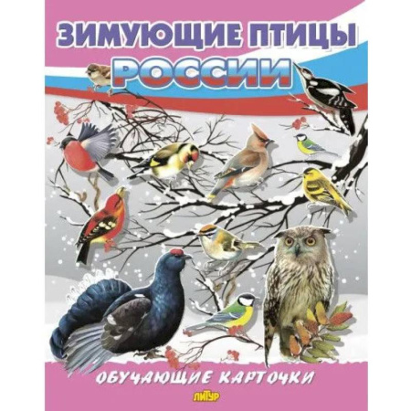 Познавательная литература, книга Зимующие птицы России