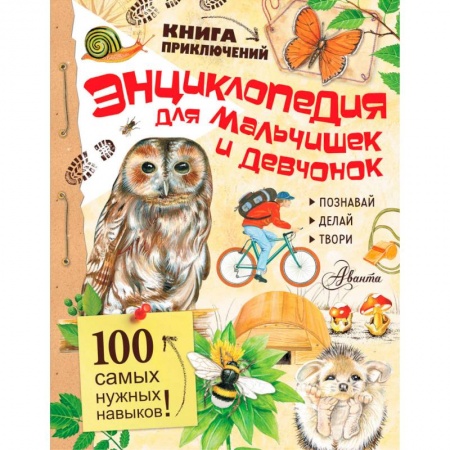 Досуг, творчество и кулинария, книга Энциклопедия для мальчишек и девчонок