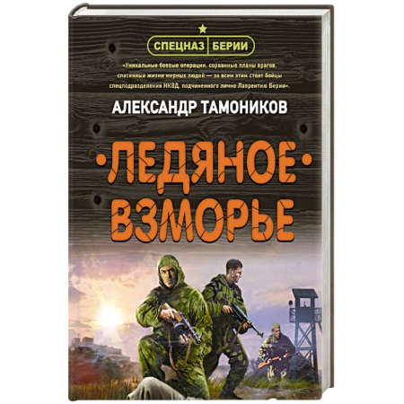 Детективы, триллеры, книга Ледяное взморье