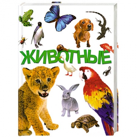 Книги, книга Животные