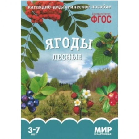 Книги, книга Ягоды лесные. Наглядно-дидактическое пособие. 3-7 лет