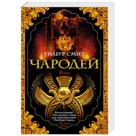 Классика, современная литература, книга Чародей