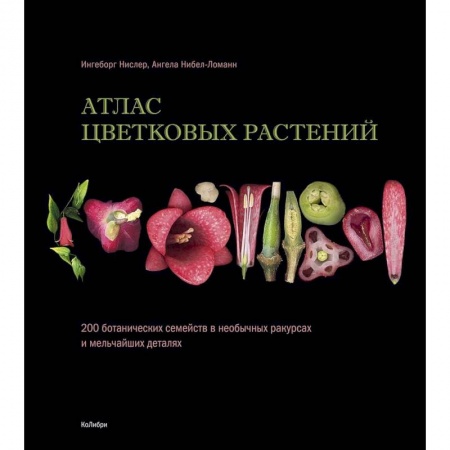 Естественные науки, книга Атлас цветковых растений. 200 ботанических семейств в необычных ракурсах и мельчайших деталях