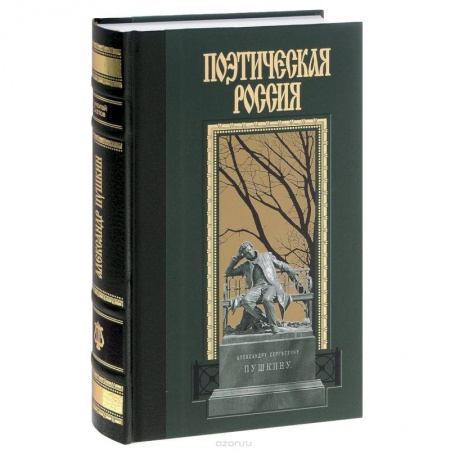 Мемуары, биографии, книга Александр Пушкин