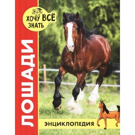 Познавательная литература, книга Хочу все знать. Лошади