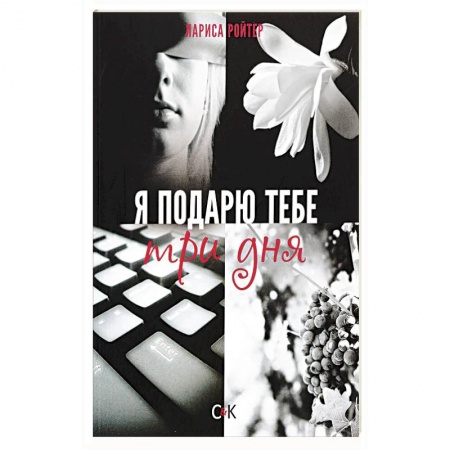 Классика, современная литература, книга Я подарю тебе три дня