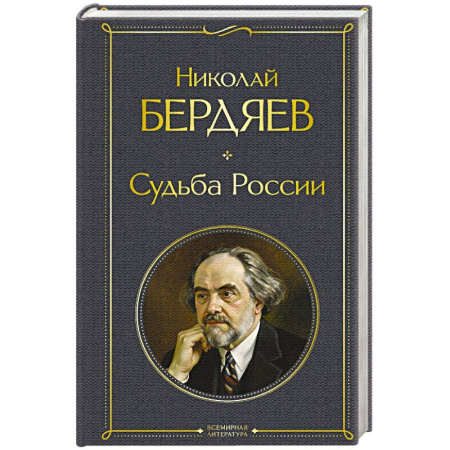 Общественные и гуманитарные науки, книга Судьба России