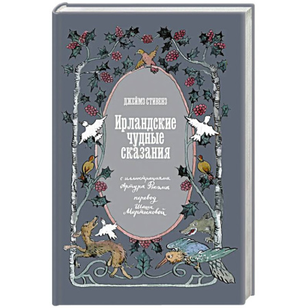 Классика, современная литература, книга Ирландские чудные сказания
