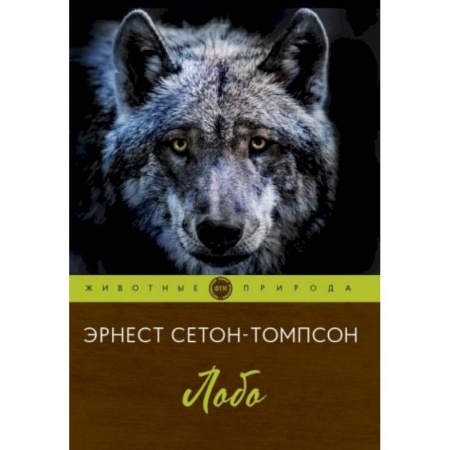 Проза для детей, книга Лобо