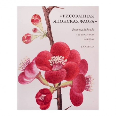 Культура, искусство, книга Рисованная Японская Флора доктора Зибольда и ее 200-летняя история