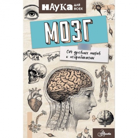 Общественные и гуманитарные науки, книга Мозг. От древних мифов к нейробиологии
