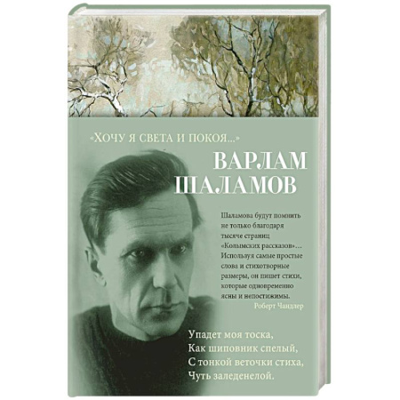 Классика, современная литература, книга Хочу я света и покоя...
