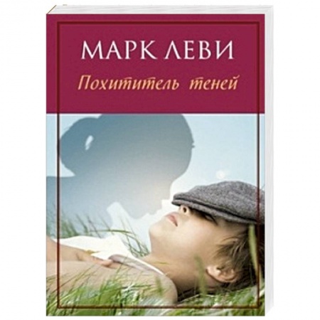 Книги, книга Похититель теней