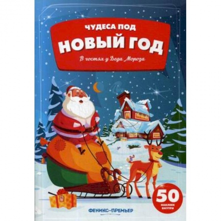 Досуг, творчество и кулинария, книга В гостях у Деда Мороза. Книжка с наклейками (50 наклеек)