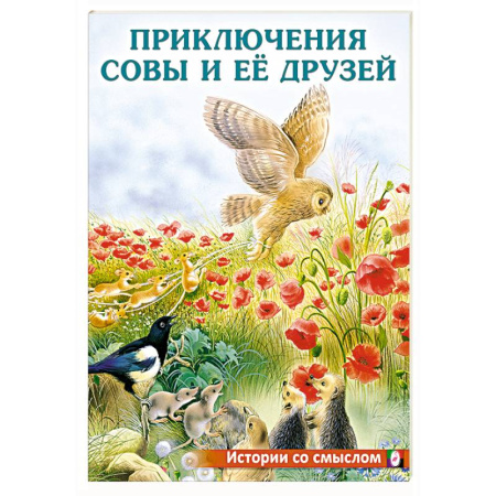 Книги для дошкольников (4-6 лет), книга Приключения совы и её друзей