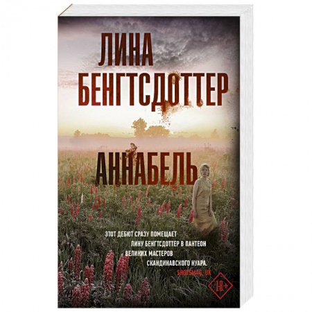 Детективы, триллеры, книга Аннабель