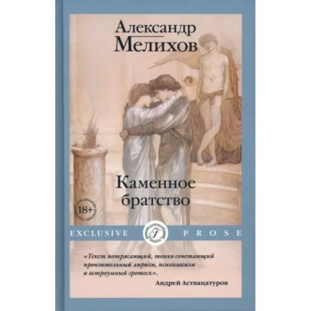 Классика, современная литература, книга Каменное братство