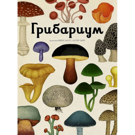 Познавательная литература, книга Грибариум