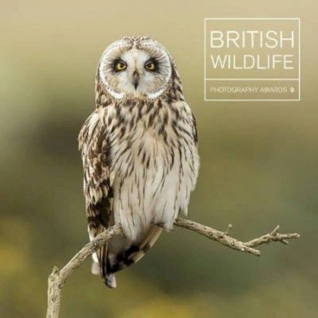 Изучение языков, книга British Wildlife. Photography Awards 9